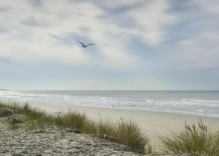 ibis Thalassa Le Touquet-Paris-Plage