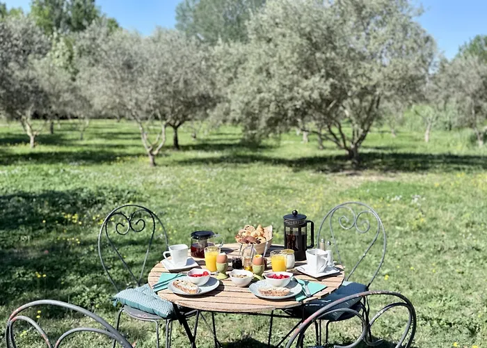 Bed and Breakfast Domaine Au Coeur des Alpilles à Maussane-les-Alpilles