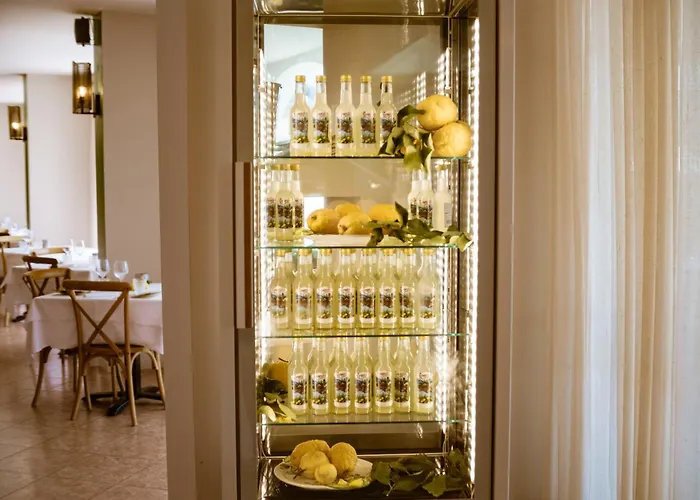 Hotel Mercedes Limone sul Garda