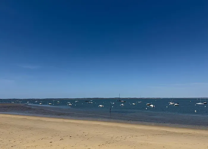Lamayade Arcachon