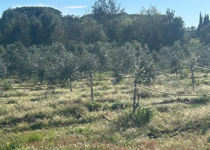 Camera Graziosa