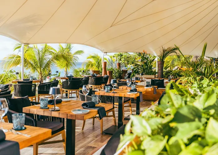 Chogogo Dive & Beach Resort Bonaire Kralendijk