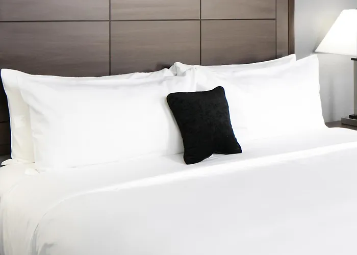 Red Lion Inn & Suites Houston Iah Airport