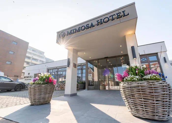 Mimosa Hotel