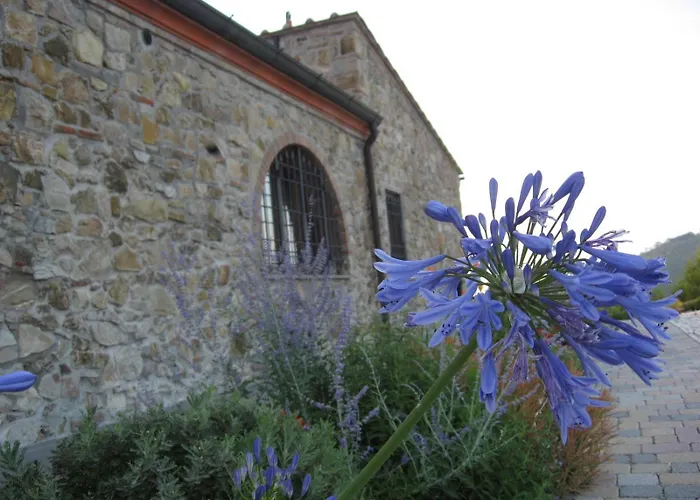 Arpaderba B&B Livorno