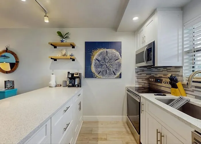 Sand Dollar