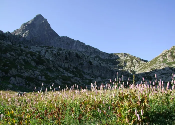 Albergo Nazionale Vernante
