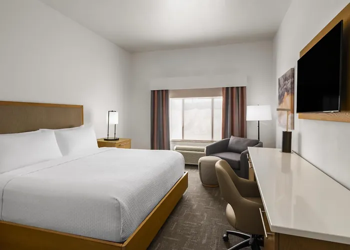 Best Western Premier Houston Downtown/Convention Center Hotel