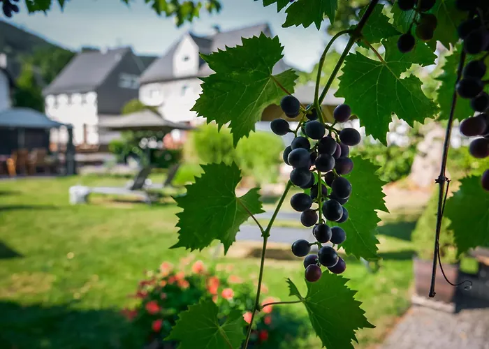 Landhotel Voss im TalVital Lennestadt