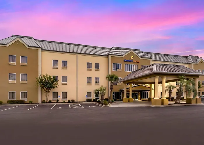 Comfort Suites At The University Conway