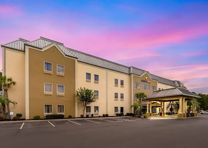 Comfort Suites At The University Conway