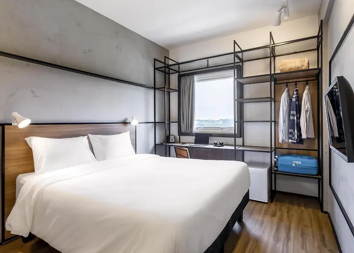 Ibis Aruja
