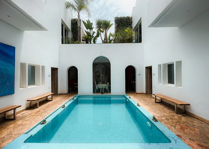 Riad Zyo