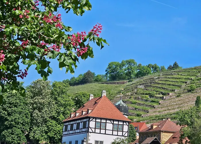 Pension am Elberadweg Radebeul