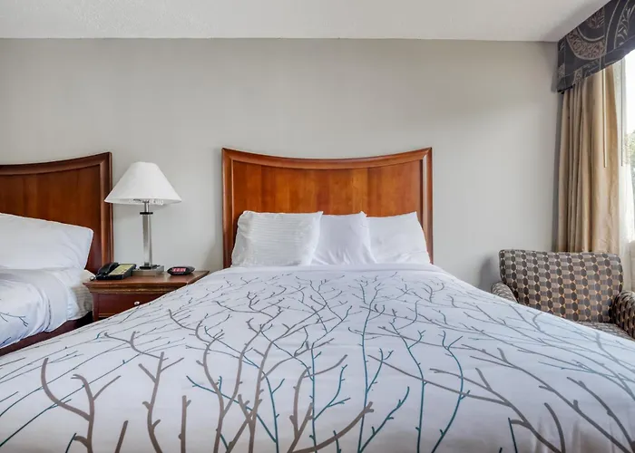 Oyo Hotel Memphis Tn I-40
