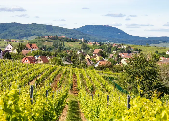 Hotel Stadt Breisach