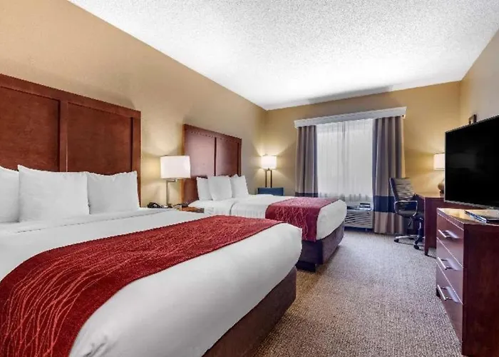 Comfort Inn Dfw Airport North