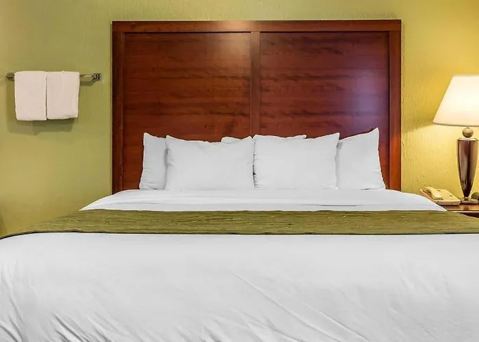 Quality Inn & Suites Zanesville City Center