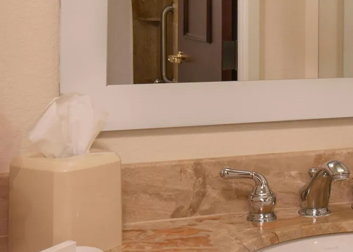 Springhill Suites By Marriott Tampa Westshore