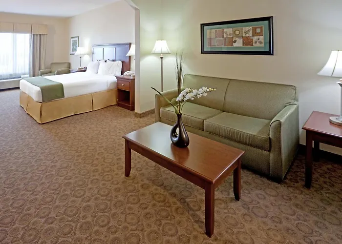 Holiday Inn Express Hotel & Suites Cedar Hill By Ihg