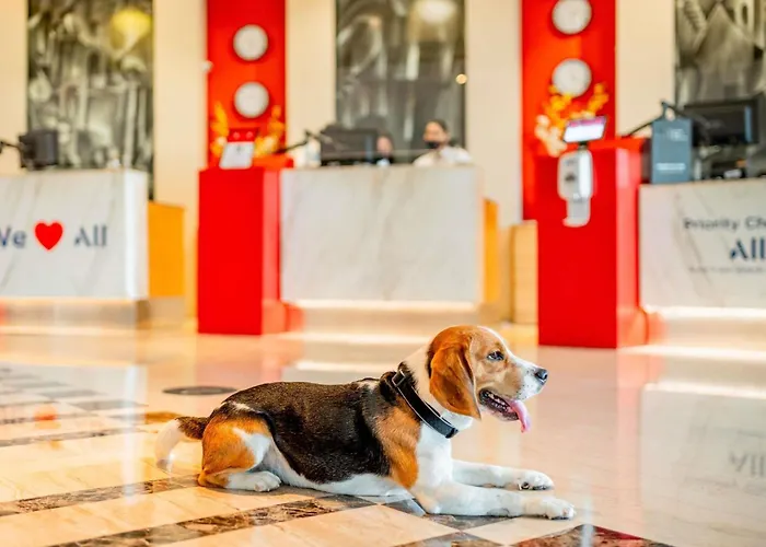 Hotel ibis Lyon Centre