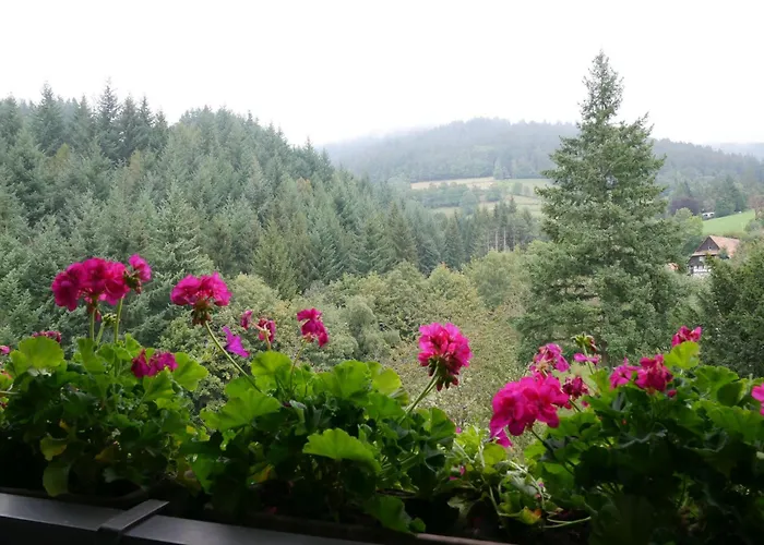 Seebach-Hotel