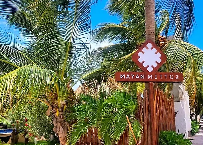 Mayan Mittoz Isla Holbox