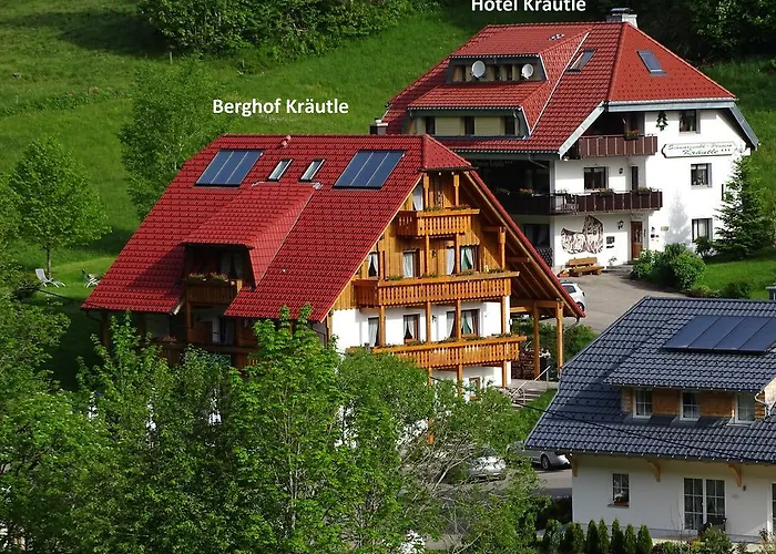 Schwarzwald Aparthotel Kräutle Feldberg 