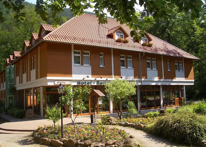 Kurpark Flair Hotel Im Ilsetal