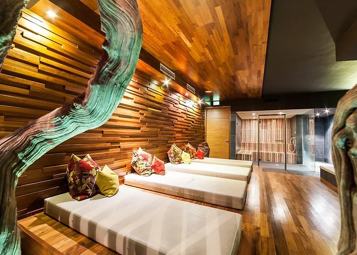 Living Max Hotel Zell am See