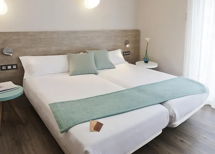 Hotel y Aparthotel Dos Rios Aínsa