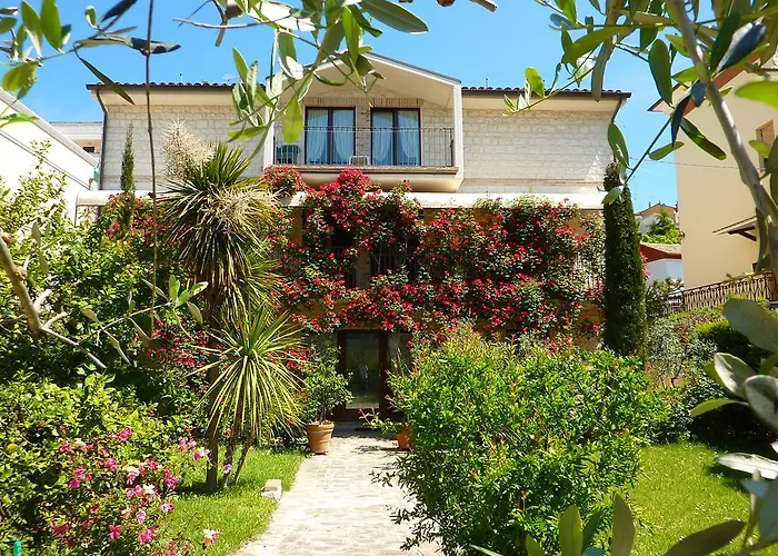 Hotel Velia Mare Numana