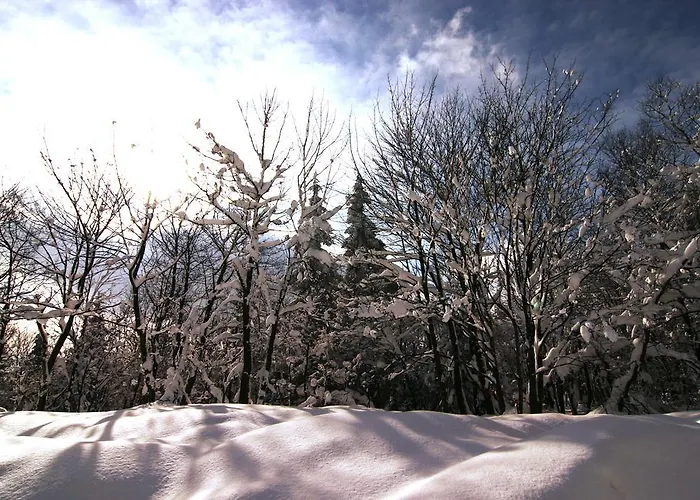 Pension Zueschener Bauernstuben Winterberg
