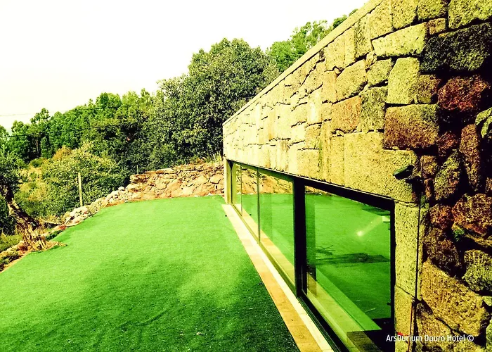 Arsdurium Douro Hotel Cinfães