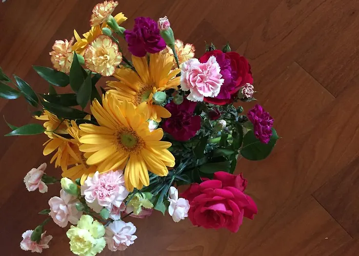 Guesthouse Flora