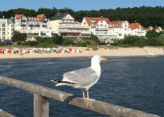 Panorama Hotel Bansin Ostseebad Heringsdorf