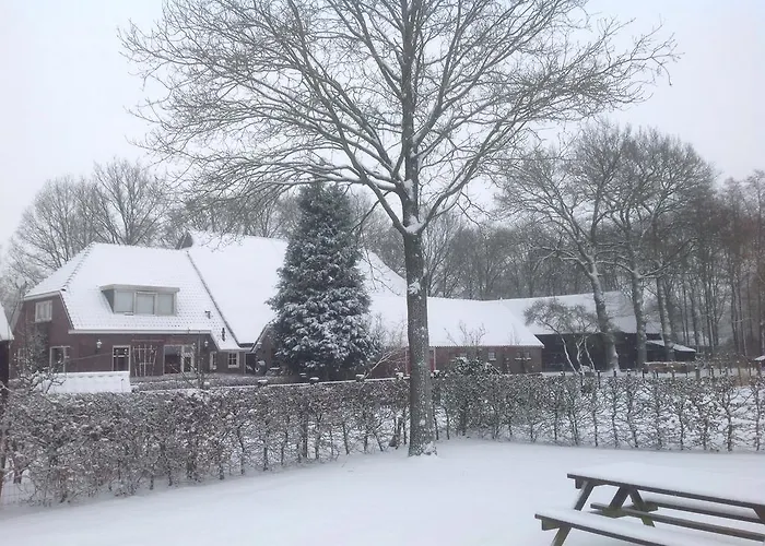Bed & Breakfast Orvelte