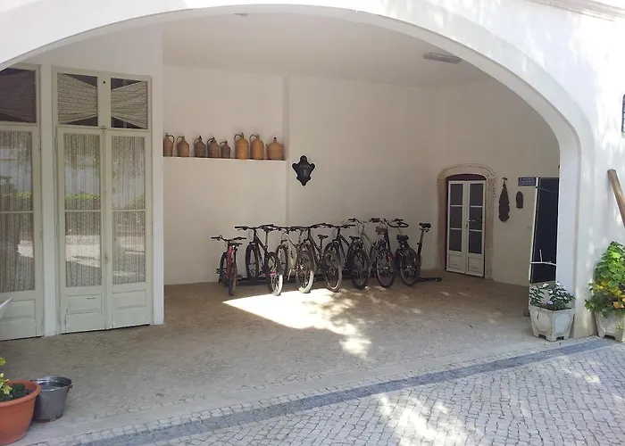 Casa Da Tia Guida Acomodação com café da manhã Golegã
