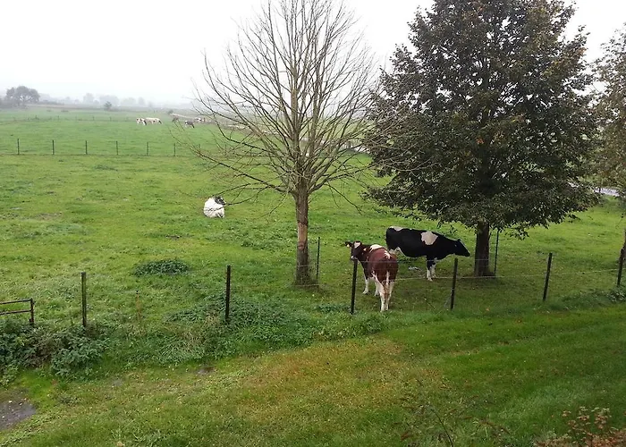 B&B de Rivierduin Hattem