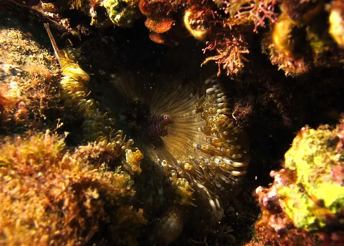 B&B Casacapraia Itri