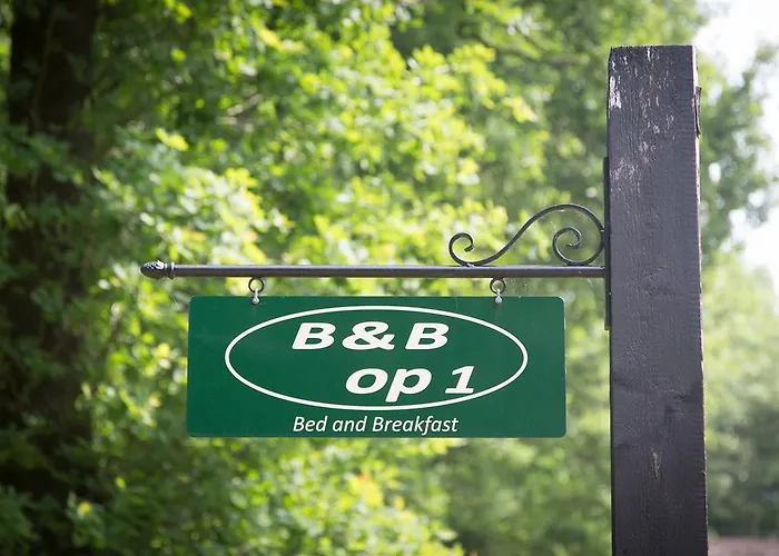 Bed & Breakfast Orvelte