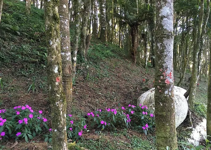 Chales Vila Flor Gonçalves