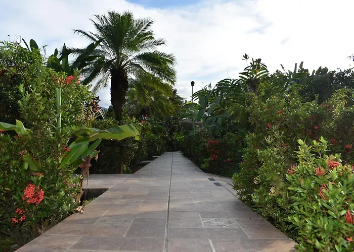 Hotel Roca Negra Del Arenal