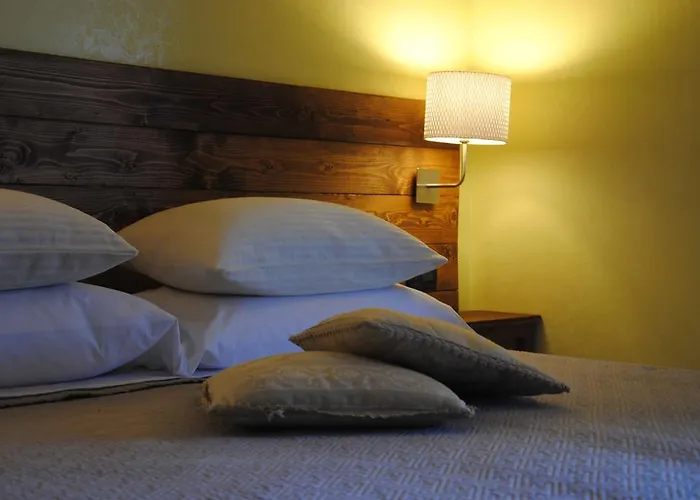 Flower Inn Ciampino