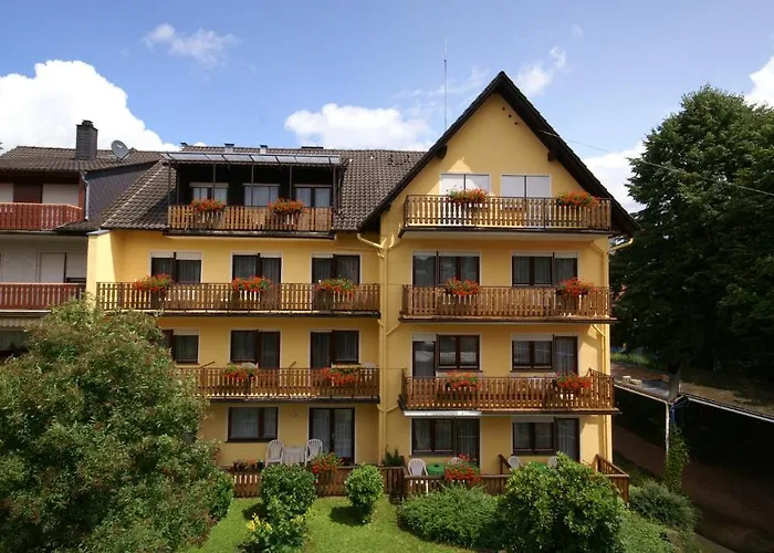 Hotel Weidenau Bad Orb