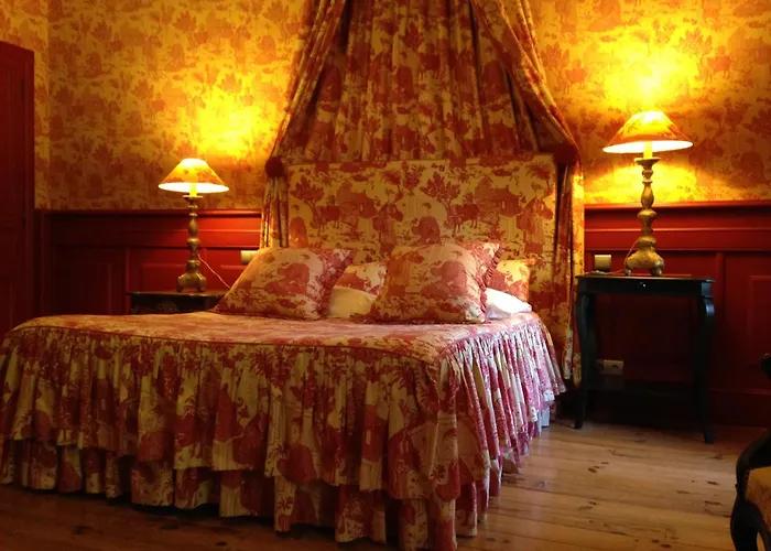 Demeure Saint Louis Historic Manor, City 700M, Free Parking,A C,Clim,Wifi, City View, Garden Carcasona