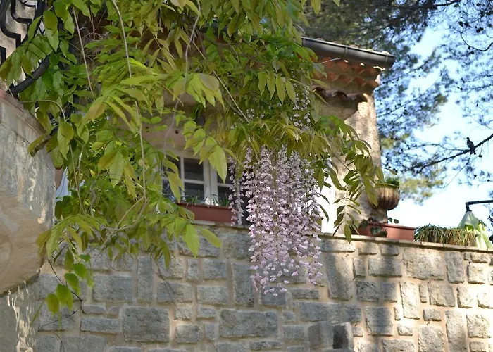 Hôtel Mas Les Filaos  à Carpentras