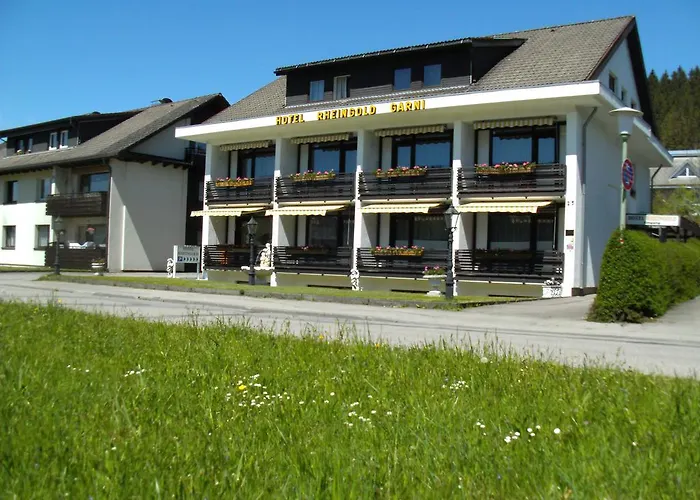 Hotel Rheingold Garni Titisee-Neustadt