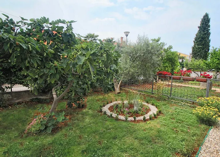 Apartments And Rooms Lorena 236 Rovigno