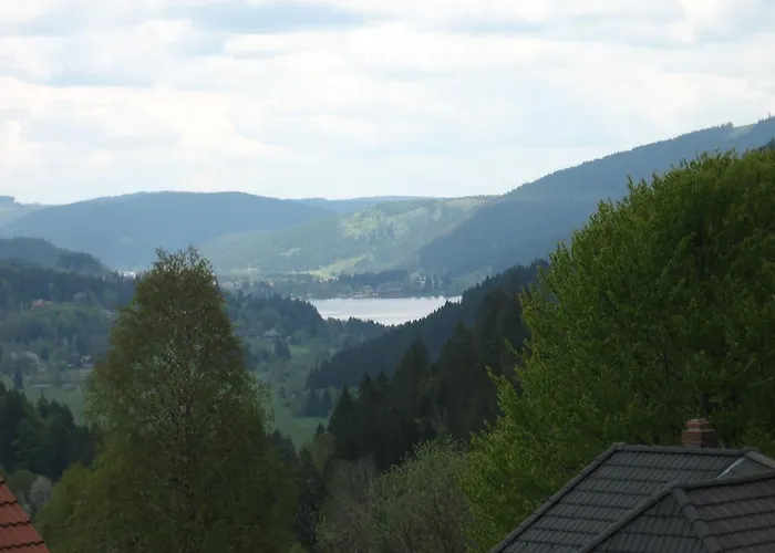 Gaestehaus Faller Hotel Feldberg 